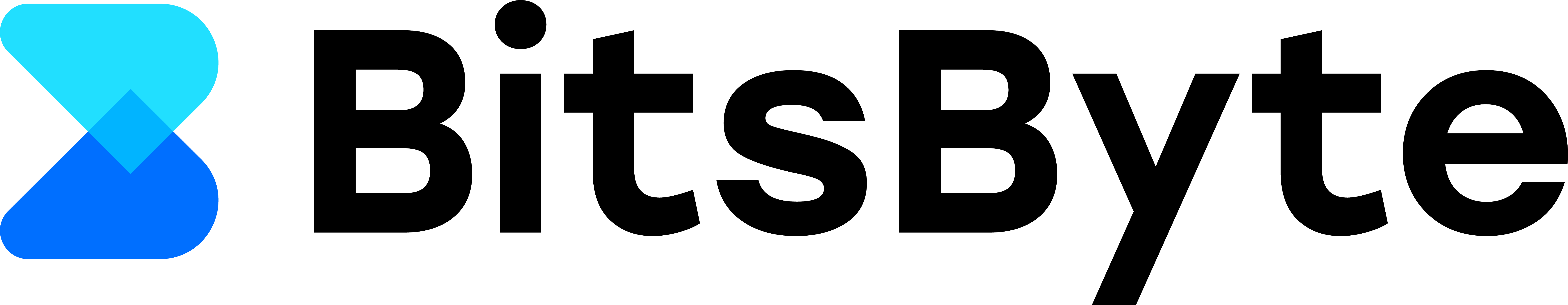 BitsByte
